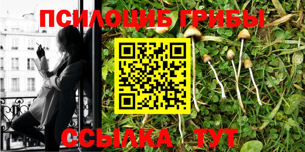Псилоцибиновые грибы ЛСД Тавда