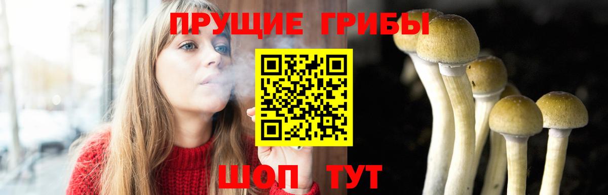 Тавда  Галлюциногенные грибы GOLDEN TEACHER  Вход с VPN 