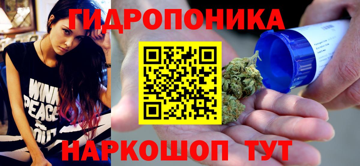 МАРИХУАНА план Тавда